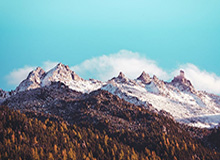 山东魏桥·向尚运动俱乐部挺进乒超男团决赛